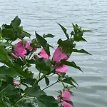 Сasa de vacaciones Maison La Dune, Piscine Et Jardin
