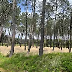 Сasa de vacaciones Maison La Dune, Piscine Et Jardin