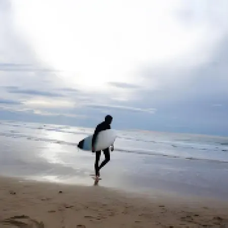 L'ocean Des Landes - La Dune Messanges (Landes)