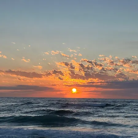 L'ocean Des Landes - La Dune Messanges (Landes)