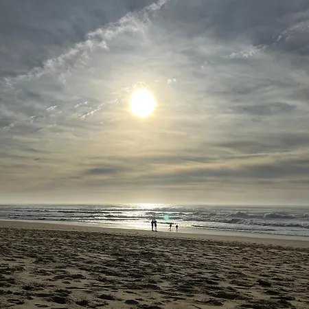 L'ocean Des Landes - La Dune Prázdninový dům