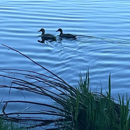 L'ocean Des Landes - La Dune Prázdninový dům