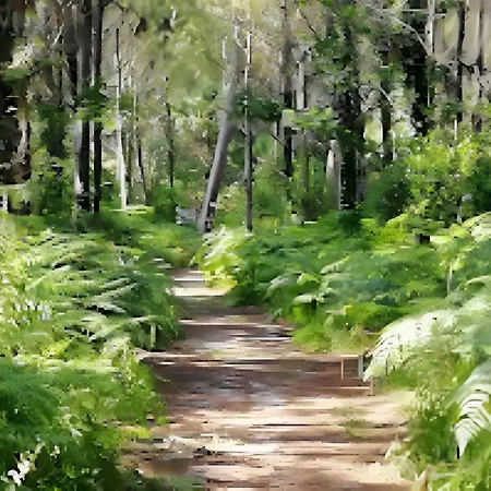 L'ocean Des Landes - La Dune Prázdninový dům Messanges (Landes)