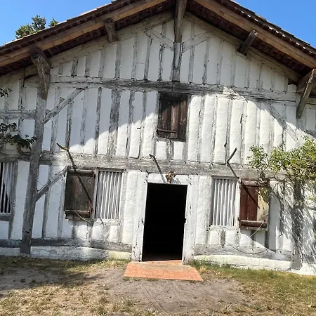 Hébergement de vacances L'océan Des Landes - La Dune Messanges (Landes)