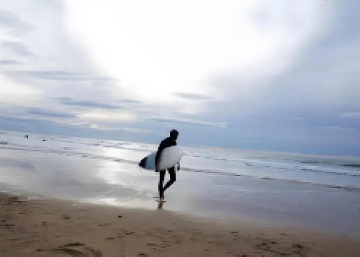 L'ocean Des Landes - La Dune Messanges (Landes)