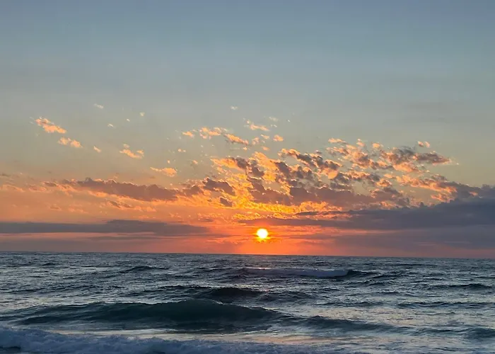L'ocean Des Landes - La Dune Messanges (Landes)