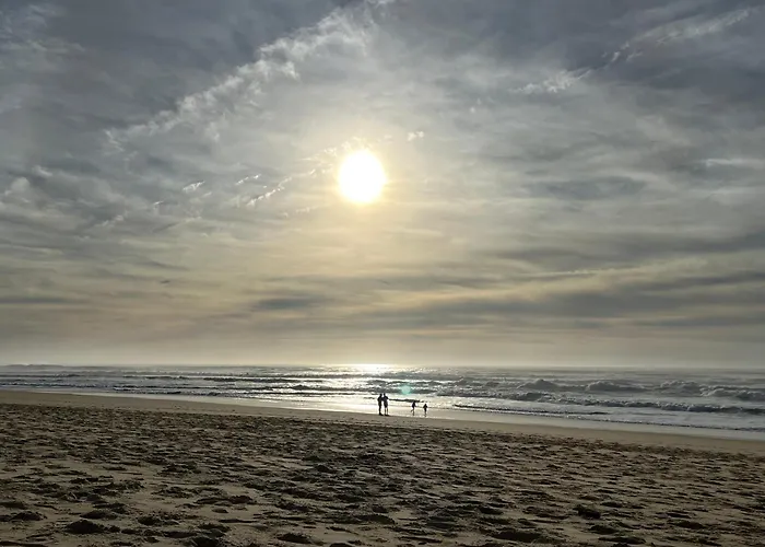L'ocean Des Landes - La Dune Prázdninový dům