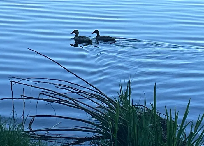 L'ocean Des Landes - La Dune Prázdninový dům