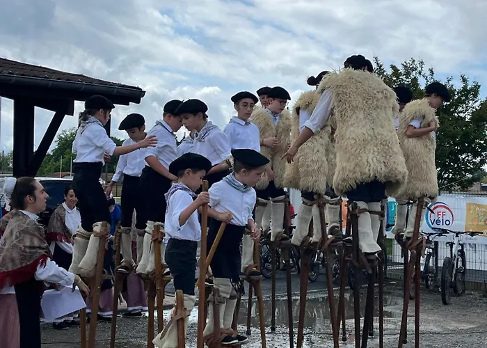 L'ocean Des Landes - La Dune *