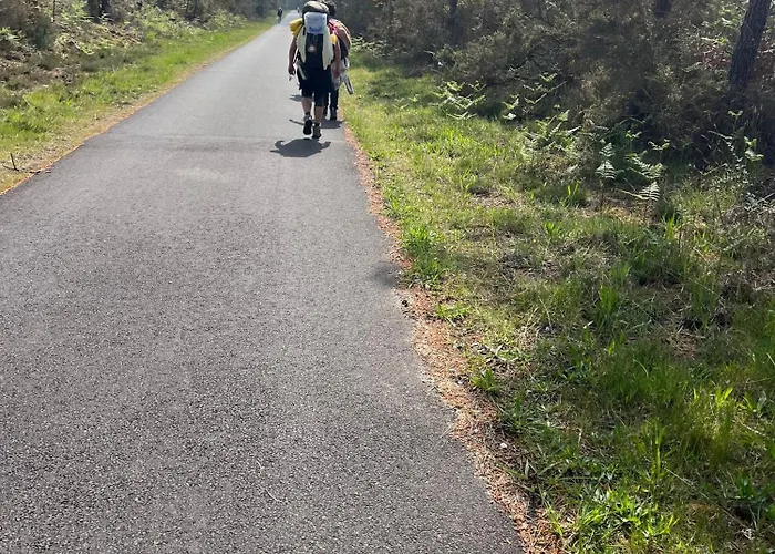 L'ocean Des Landes - La Dune * Messanges (Landes)