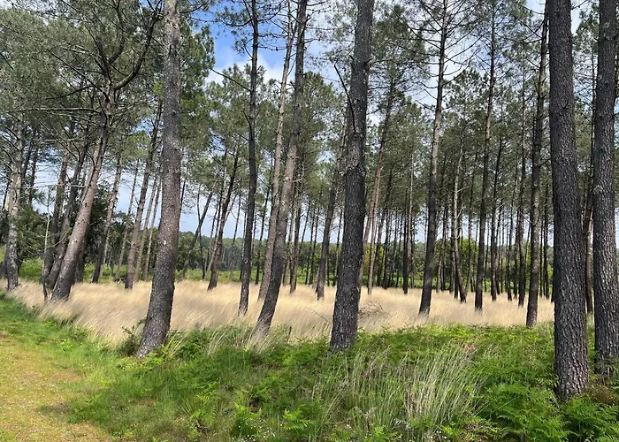 Prázdninový dům L'ocean Des Landes - La Dune Messanges (Landes)