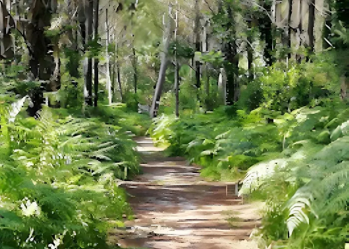L'ocean Des Landes - La Dune Prázdninový dům Messanges (Landes)